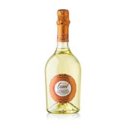 Prosecco DOCG Superiore Conegliano Valdobbiadene extra dry 750ml