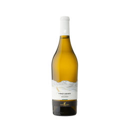 Víno bílé PINOT GRIGIO BIO DOC 750ml VISTALAGO