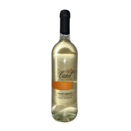 Víno bílé Pinot Grigio DOC 0,75l
