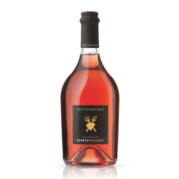 Růžové víno šumivé IGT Raboso Geloso 750ml