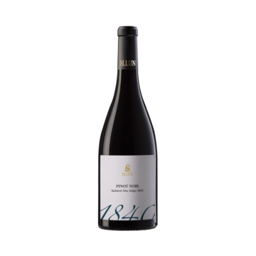 Víno červené Pinot Noir Alto Adige DOC H.LUN 0,75l