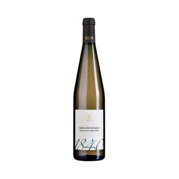 Víno bílé Moscato Giallo Alto Adige DOC 0,75l