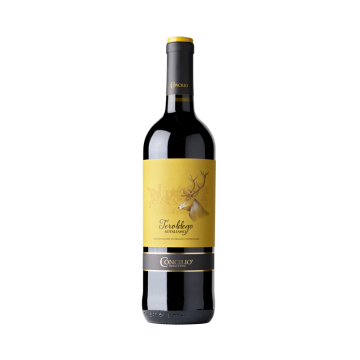 Víno červené Teroldego Rotaliano DOC 0,75l