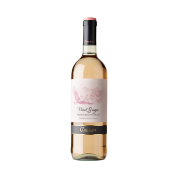 Víno růžové Pinot Grigio Vigneti delle Dolomiti IGT 0,75l