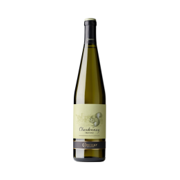 Víno bílé Chardonnay Trentino DOC 0,75l