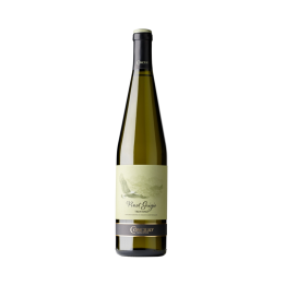 Víno bílé Pinot Grigio DOC 0,75l