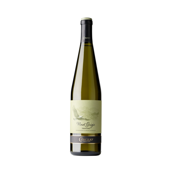 Víno bílé Pinot Grigio DOC 0,75l